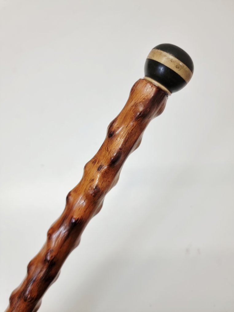 Walking stick - blackthorn #2.1