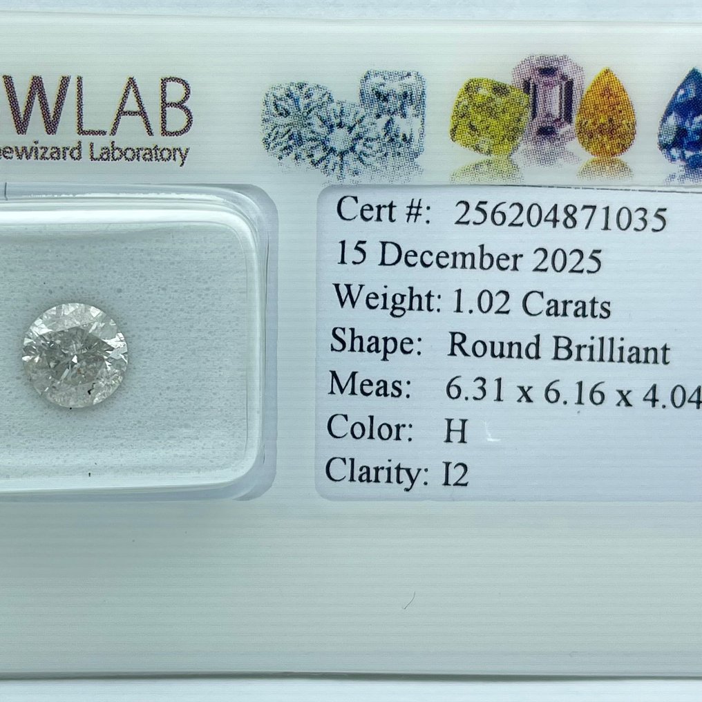 Senza prezzo di riserva - 1 pcs Diamante  (Naturale)  - 1.02 ct - Rotondo - H - I2 - Gemewizard Gemological Laboratory (GWLab) #1.0