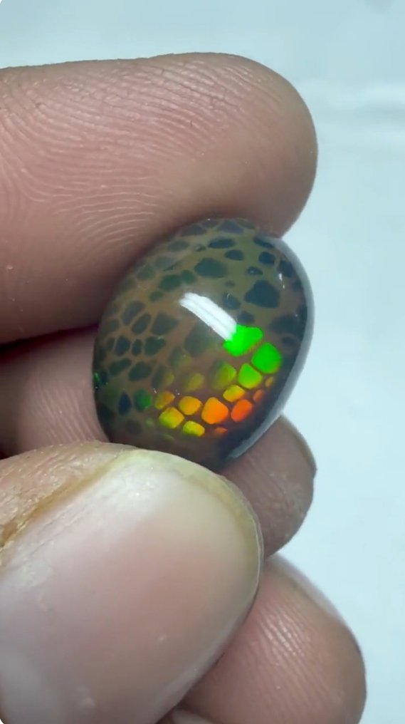 Opal Honeycomb AAA+++ Rojo Dominante 7,5Ct – Lightning Ridge- 1.5 g #3.2