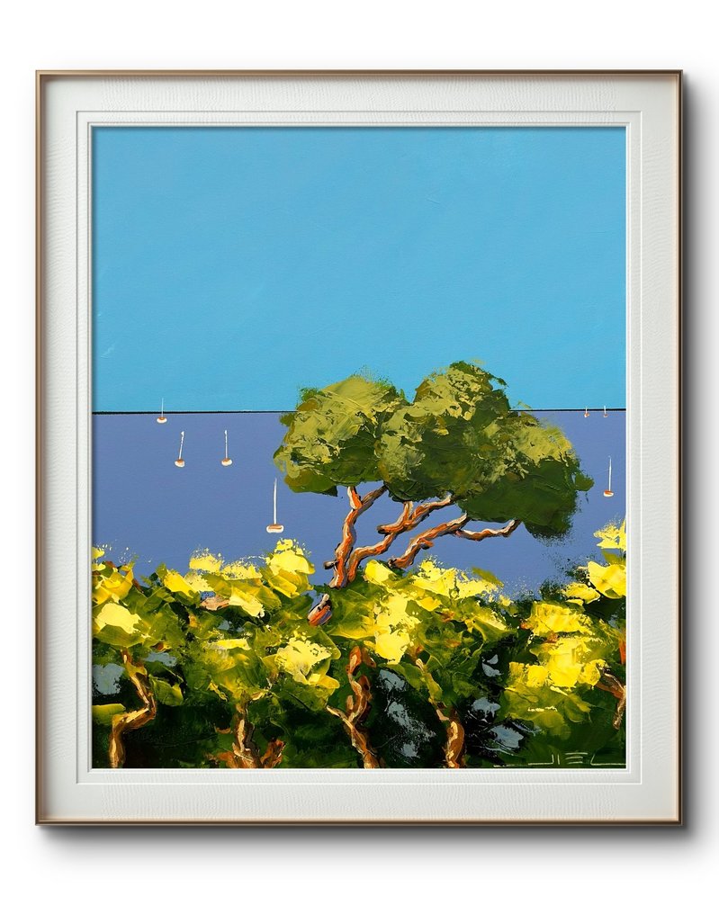 Jiel - Le vieux pin face au silence de la Méditerranée. #2.1