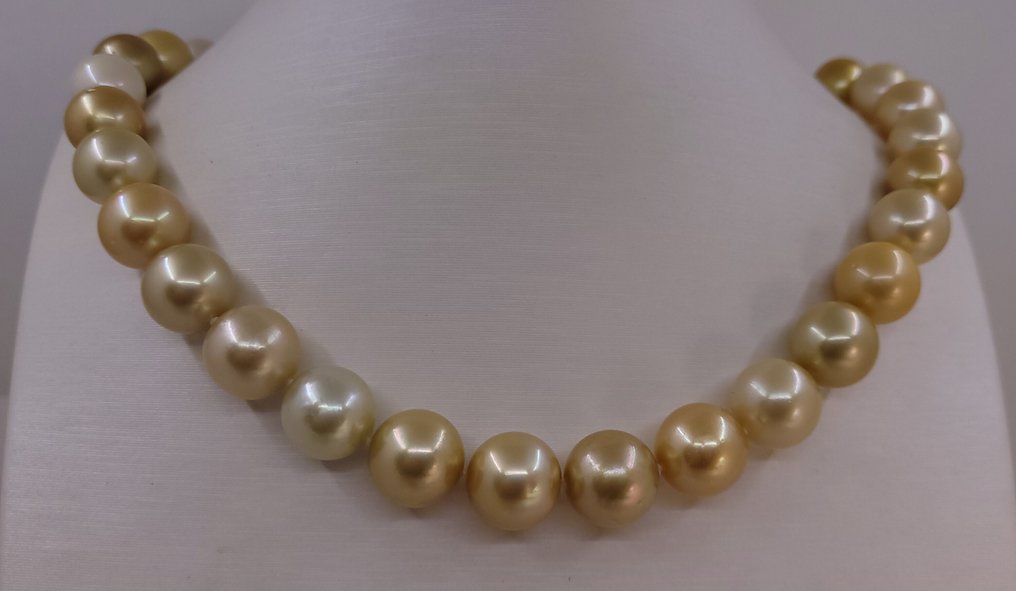 頸鏈 - 14 克拉 黃金, PSL 认证澳大利亚南海珍珠 - 10.4x12.9毫米 #1.0