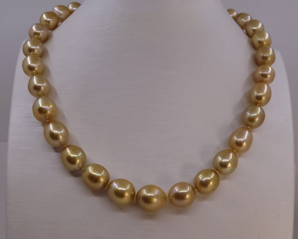 Collier - 14 carats Or jaune, Perles de mer du Sud d'un or profond certifiées PSL - 10,1x12,6 mm #2.1