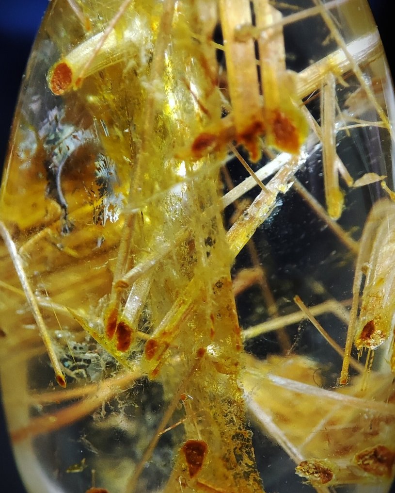 美丽的极为罕见的天然金色针状石英水晶 样品 - 免费送货- 4.74 g #3.2