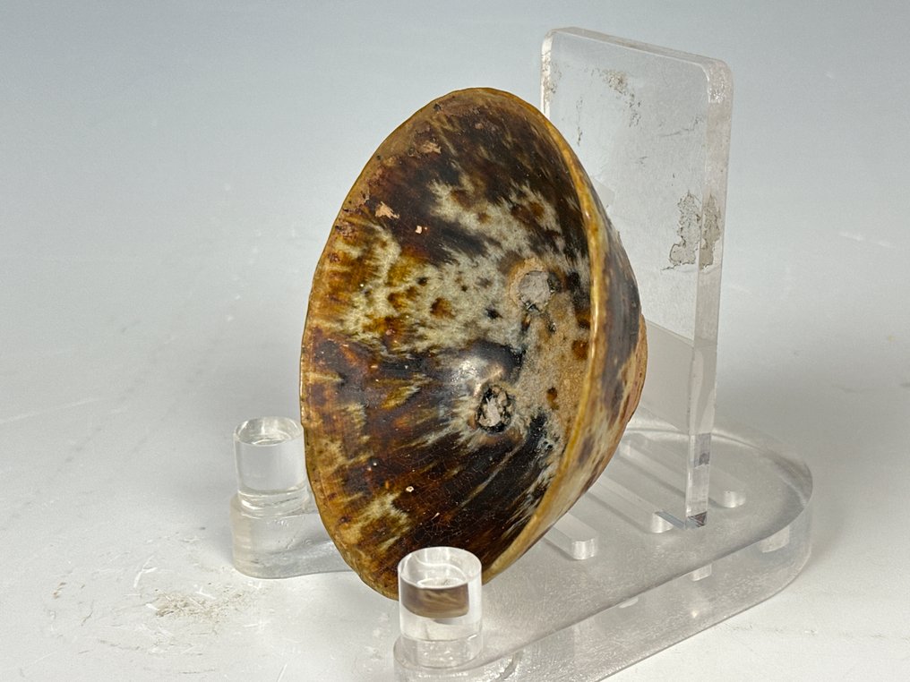 玳瑁斑釉茶盏（Lot.00405） - 瓷器, 陶瓷 - 中國 - 清朝（1644-1911） #1.0