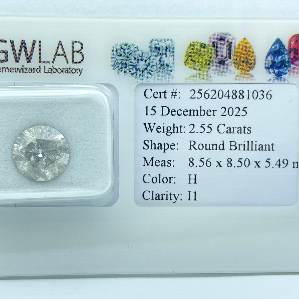没有保留价 - 1 pcs 钻石  (天然)  - 2.55 ct - 圆形 - H - I1 内含一级 - Gemewizard宝石实验室（GWLab） #1.0