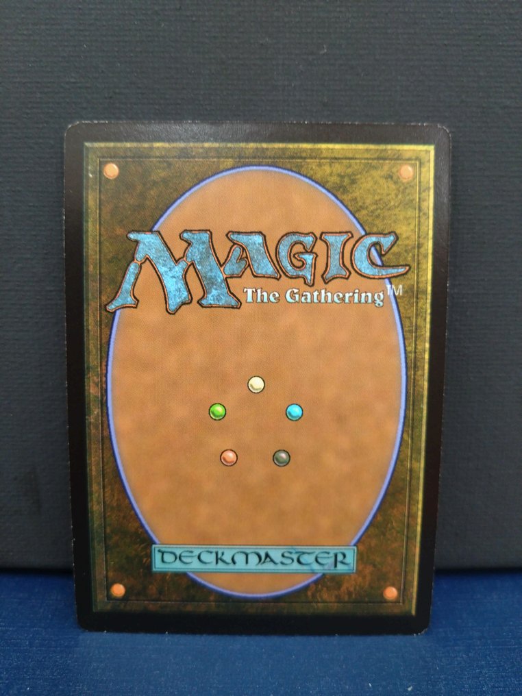 Wizards of The Coast - 12 Card - Magic: The Gathering #2.1