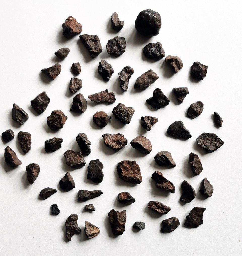 Kondrit meteorit - 79 g - (50) #3.2