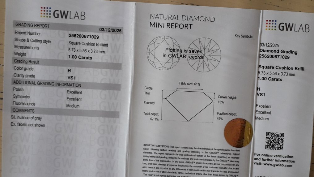没有保留价 - 1 pcs 钻石  (天然)  - 1.00 ct - 枕形 - H - VS1 轻微内含一级 - Gemewizard宝石实验室（GWLab） #3.2