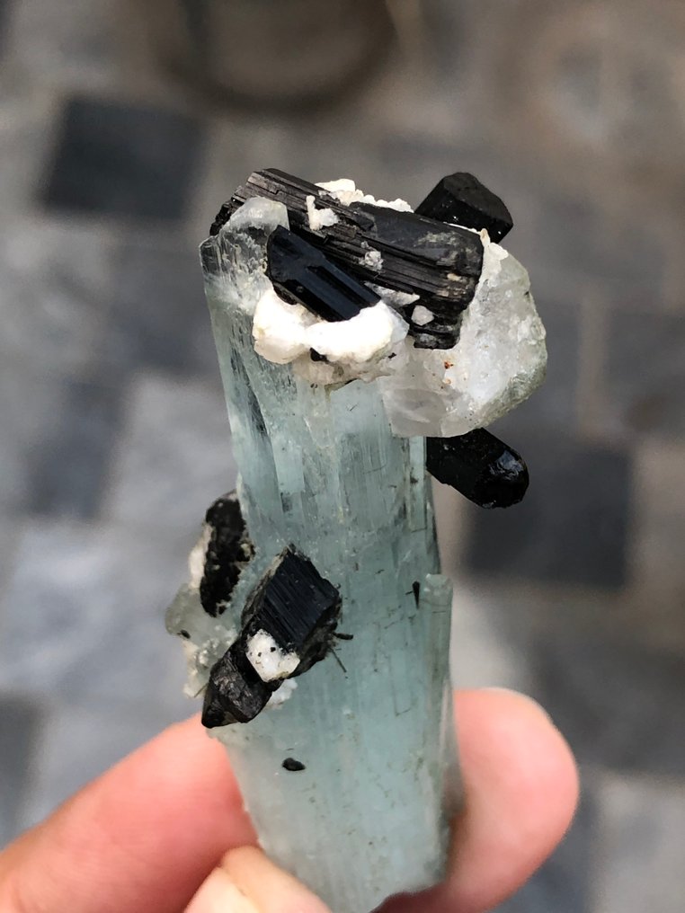 Natural Aquamarine Crystal Combined With Schorl. Crystals - Height: 60 mm - Width: 18 mm- 26 g - (1) #4.3