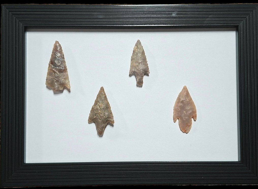 新石器时代 silex 箭头 - 250 mm  (没有保留价) #1.0