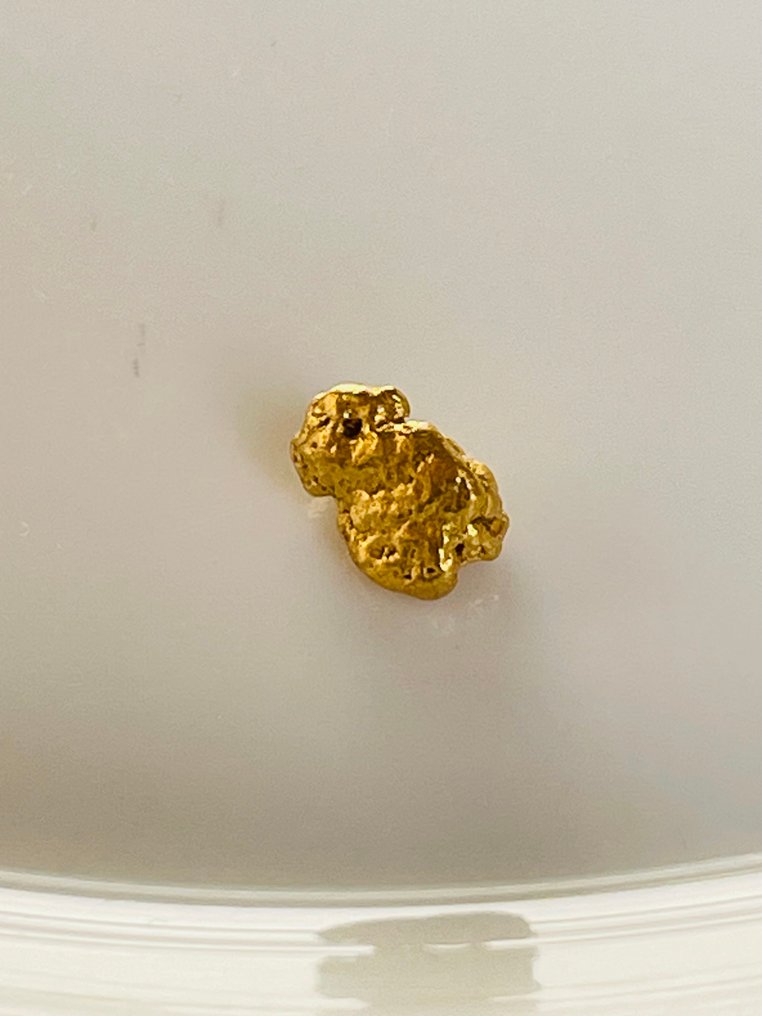 Gold Nuggets- 0.57 g - (1) #2.1