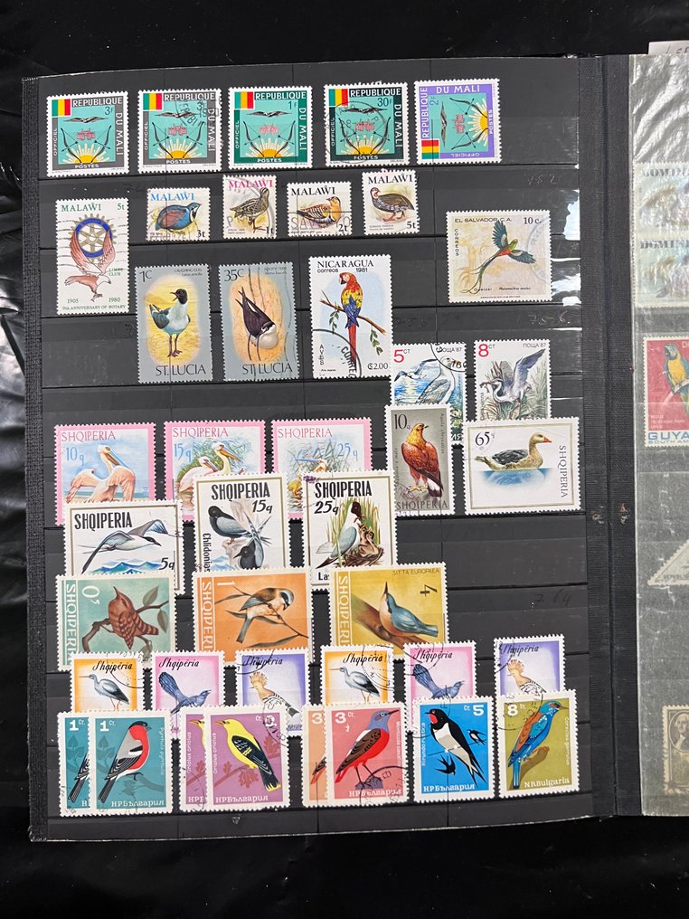 Κόσμος  - Όμορφος κόσμος αναζητήσεων με πολλά μοτίβα / θέματα σε 3 άλμπουμ. #4.3