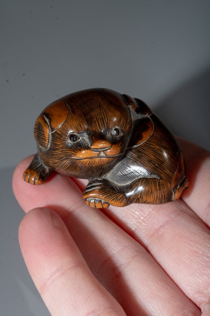 一只细雕的黄杨木根付，描绘一只蹲伏的狗 - 黄杨木 - 日本 - 明治时期（20世纪早期） #1.0