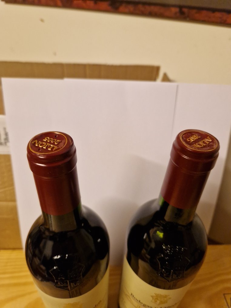 2005 Bodegas y Viñedos Alion - Ribera del Duero - 2 Flasker (0,75 L) #3.2
