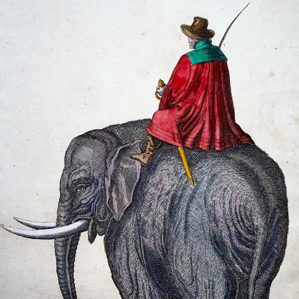 Matthäus Merian (1593-1650) - hand coloured folio, Elephant with Rider, Mammal - 1657 #1.0