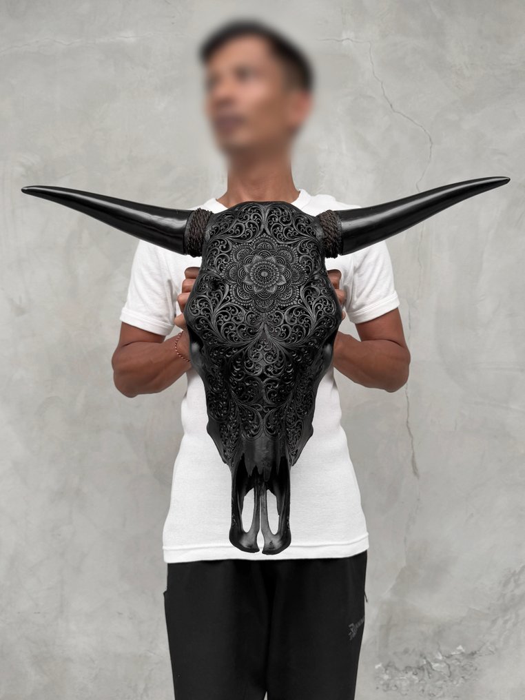 无底价 - 手工雕刻黑色牛头骨 - 花卉曼陀罗图案 雕刻的颅骨 - Bos taurus - 51 cm - 61 cm - 17 cm- 非《濒危物种公约》物种 -  (1) #2.1