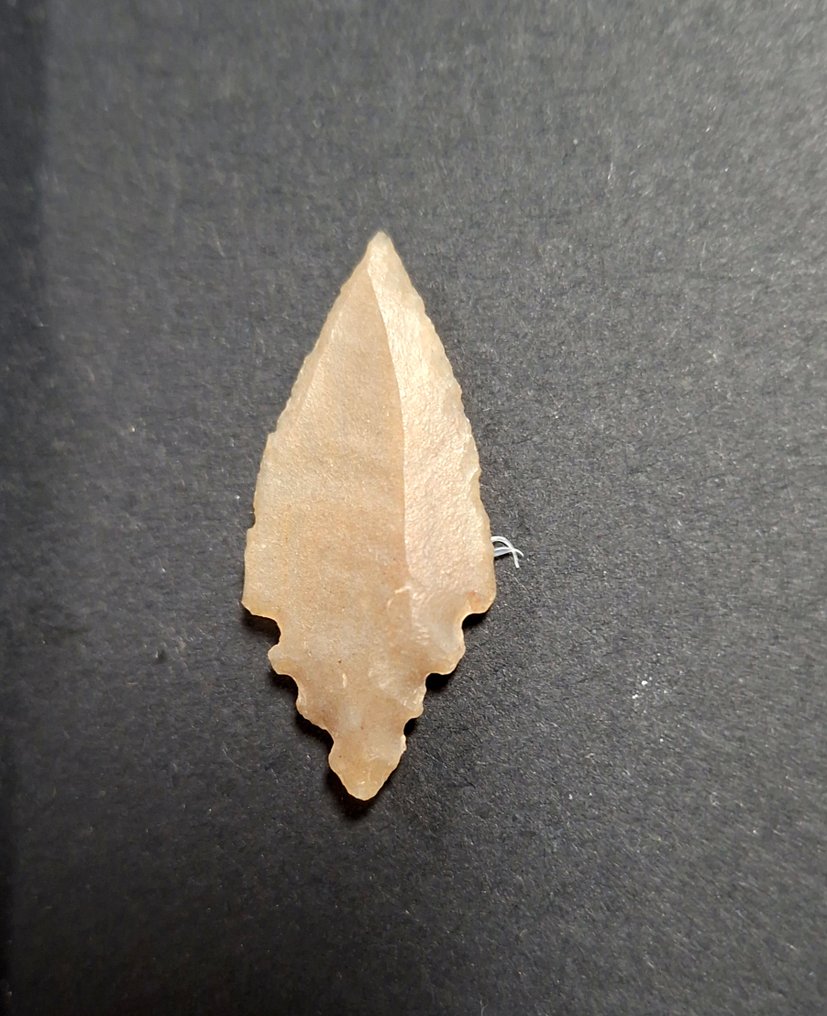 新石器时代 燧石 箭头 - 175 mm  (没有保留价) #1.0