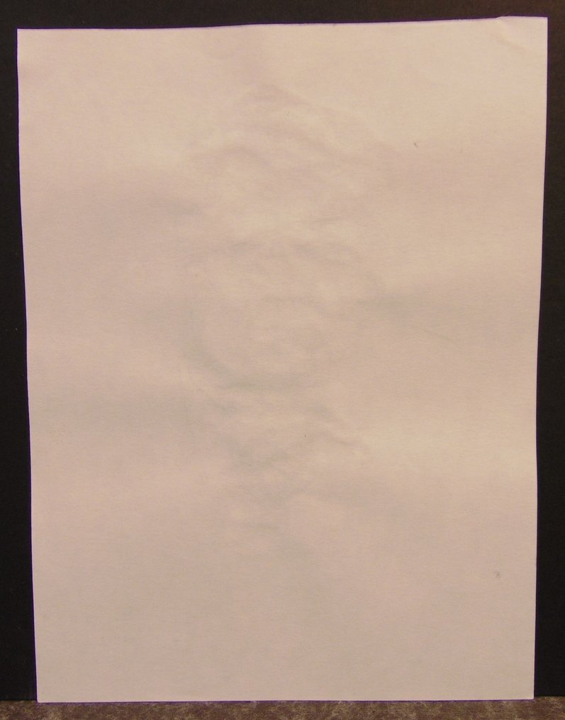 Hermann - 1 Watercolour - Duke - Medewerker - 2020 #4.3