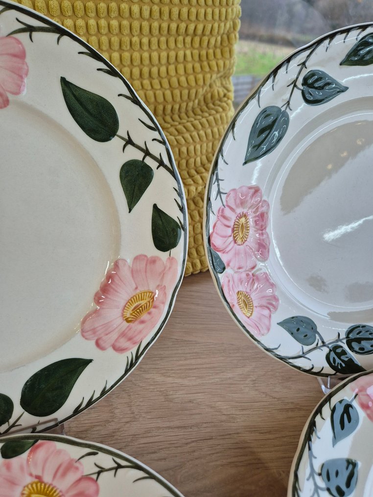 德国唯宝 - 餐盘 (6) - Wild-Rose, Wildrose - 瓷 - 手工绘制，一流！ #3.2