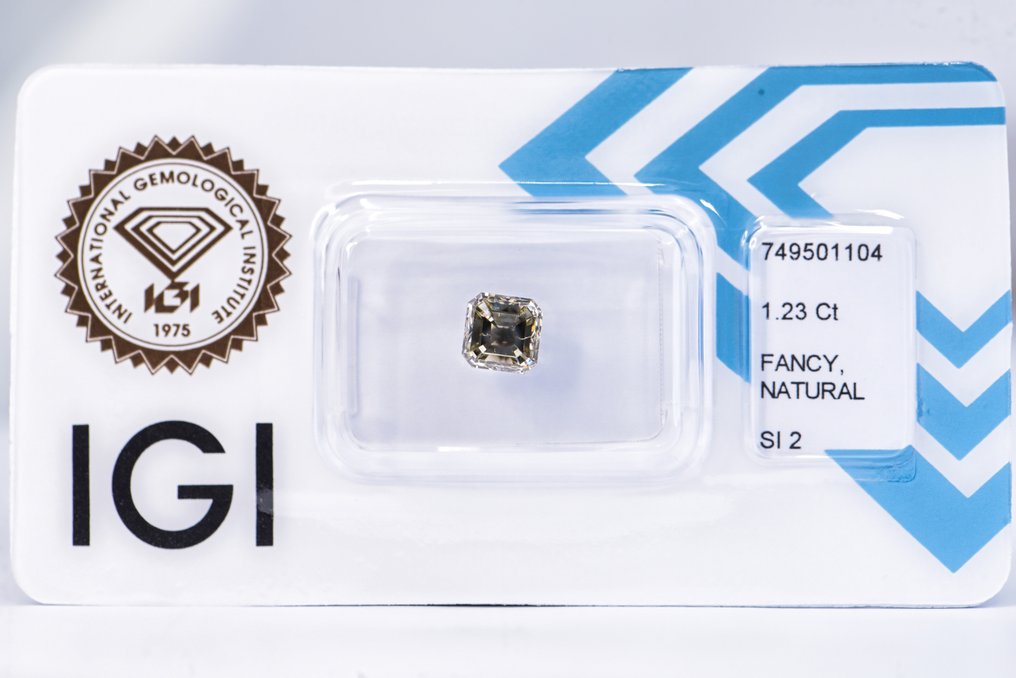 χωρίς τιμή ασφαλείας - 1 pcs Διαμάντι  (Φυσικού χρώματος)  - 1.23 ct - Σμαράγδι - Fancy deep Καφετί, Γκριζωπό Κίτρινο - SI2 - International Gemological Institute (IGI) - VG VG #1.0