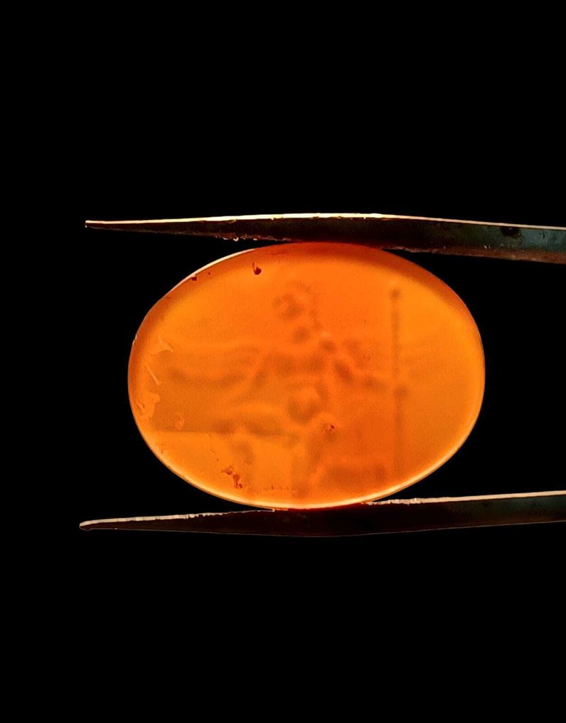 Αρχαίο ρωμαϊκό, Δημοκρατικό Κορνεόλη Intaglio - 20 mm (χωρίς τιμή ασφαλείας) #2.1