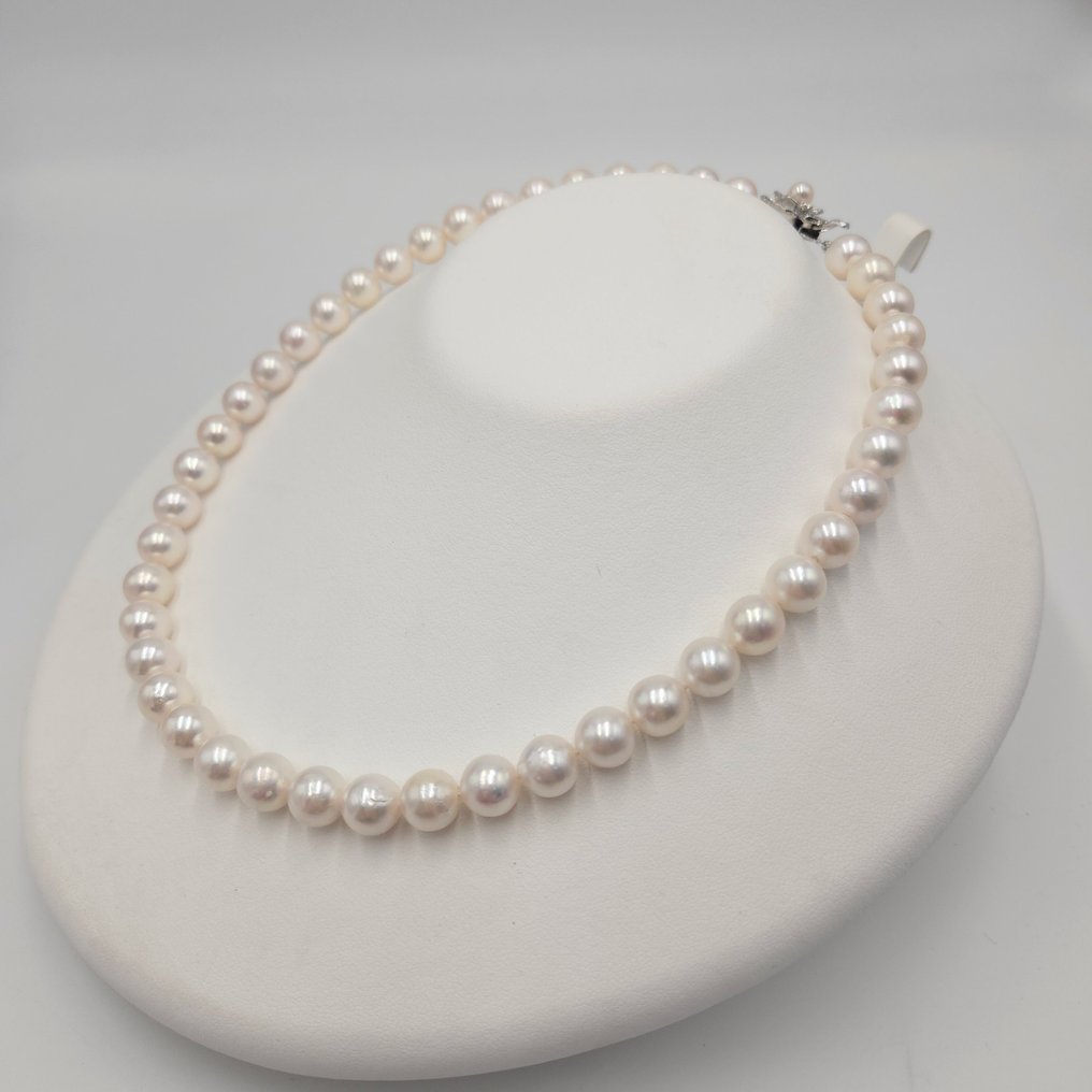 Senza prezzo di riserva - Collana - 14 carati Argento, Oro bianco Perla - Set Akoya 9,0 mm #4.3