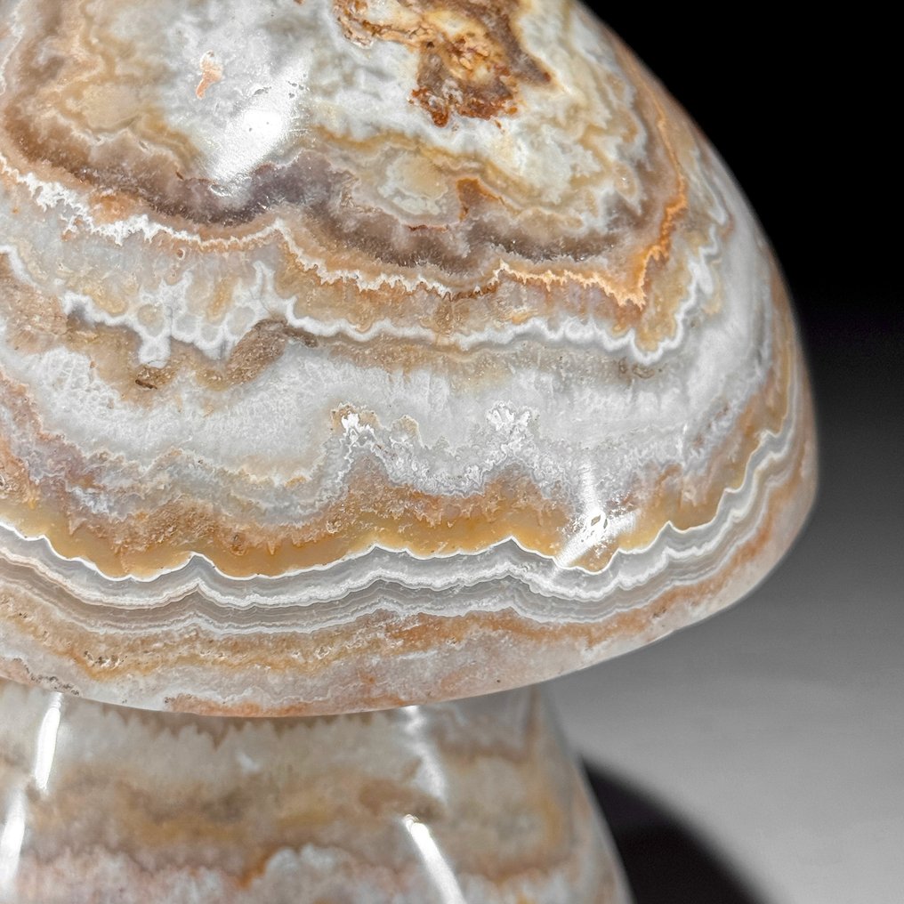 Χωρίς ελάχιστη τιμή - Όμορφη χειροποίητη γλυπτή από δαντελωτό αχάτη μανιταριού. Μοναδικό Ανάλεκτο Συλλέκτη - Ύψος: 15.5 cm - Πλάτος: 11.2 cm- 2200 g #4.3