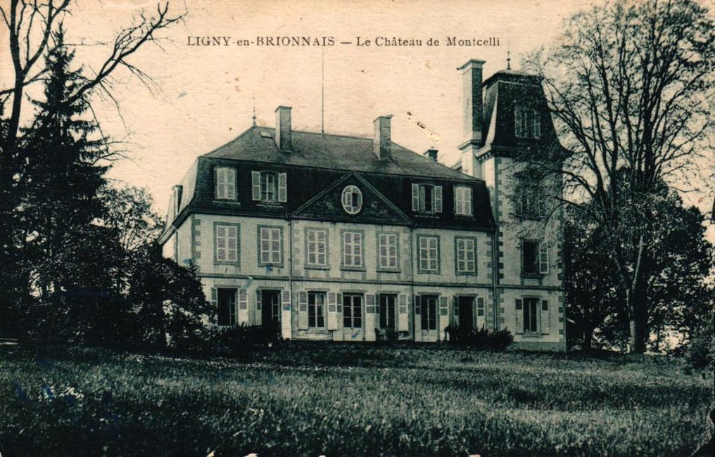 法国 - 城堡和纪念碑 - 法国城堡 - 许多稀有且更好的卡片 - 明信片 (246) - 1900-1965 #1.0