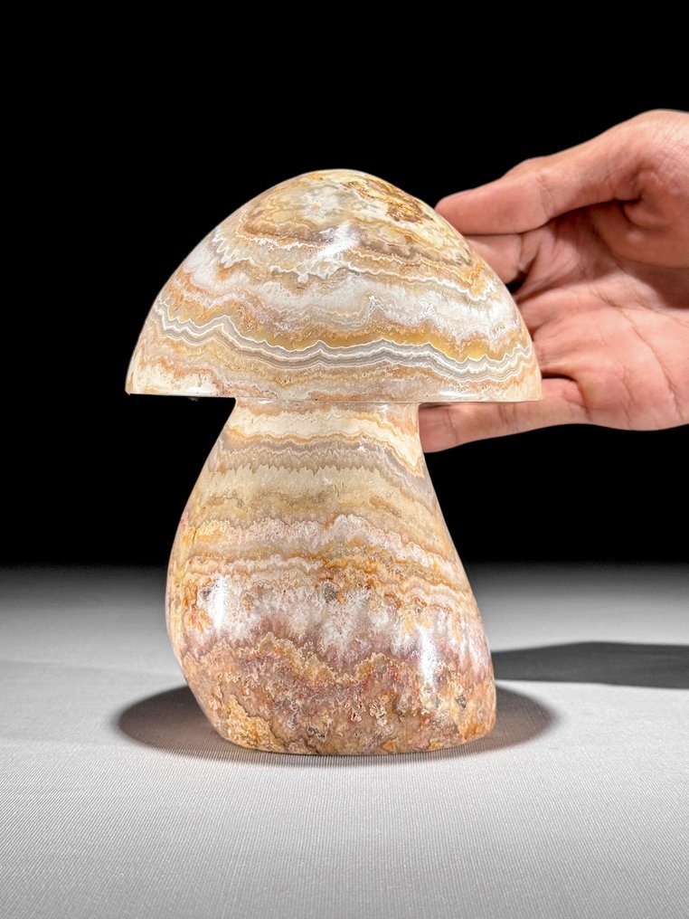 Χωρίς ελάχιστη τιμή - Όμορφη χειροποίητη γλυπτή από δαντελωτό αχάτη μανιταριού. Μοναδικό Ανάλεκτο Συλλέκτη - Ύψος: 15.5 cm - Πλάτος: 11.2 cm- 2200 g #1.0