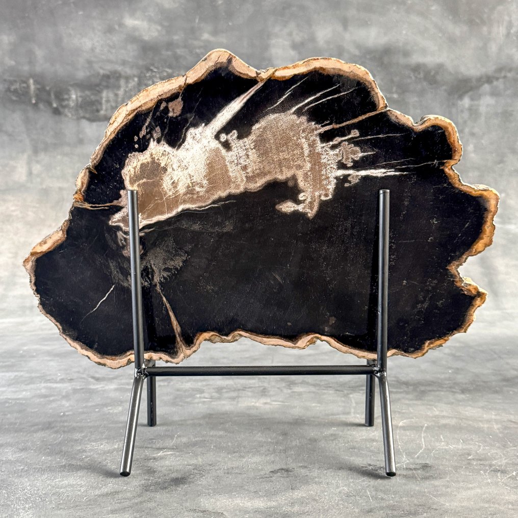 Εντυπωσιακό κομμάτι πετραγωμένου ξύλου σε μια εξατομικευμένη βάση. - Απολιθωμένο ξύλο  (χωρίς τιμή ασφαλείας) #1.0