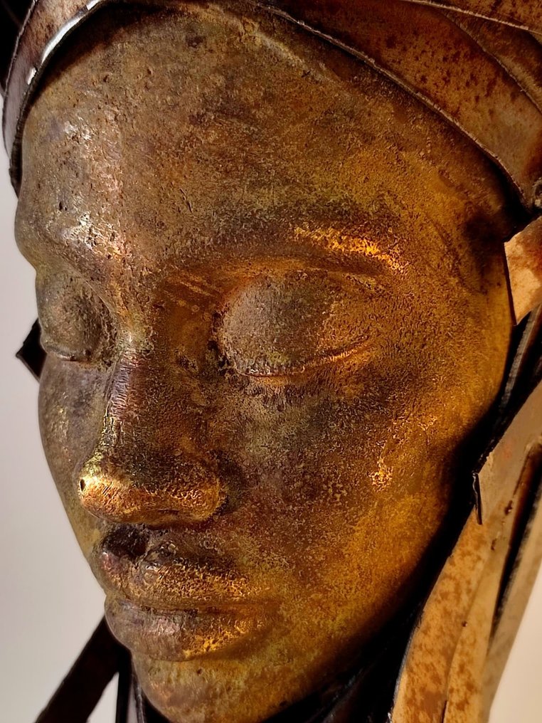 M.R. Arroyo - El misterio de otro continente. Large #2.1