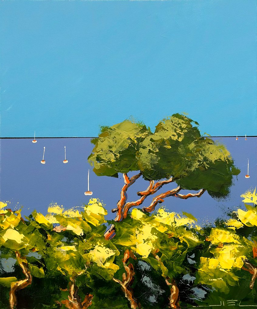 Jiel - Le vieux pin face au silence de la Méditerranée. #1.0