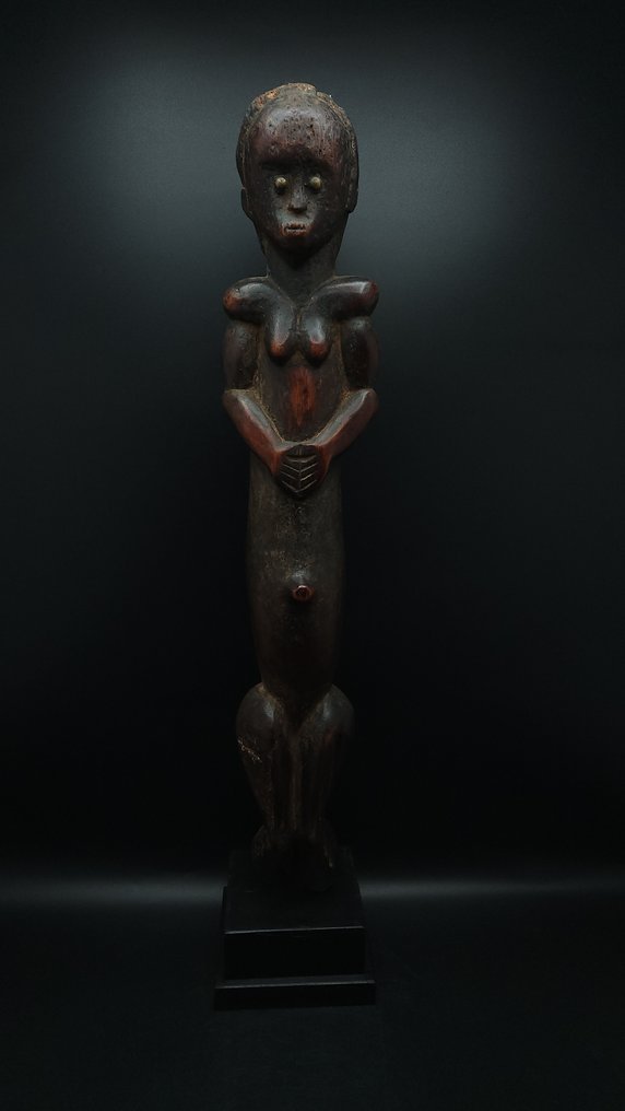 υπέροχη λειψανοθήκη - Fang - Γκαμπόν  (χωρίς τιμή ασφαλείας) #1.0