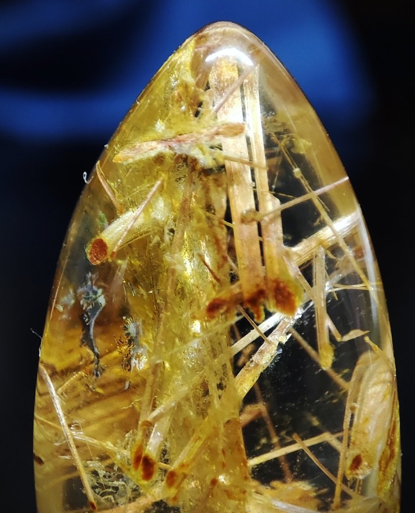 美丽的极为罕见的天然金色针状石英水晶 样品 - 免费送货- 4.74 g #1.0