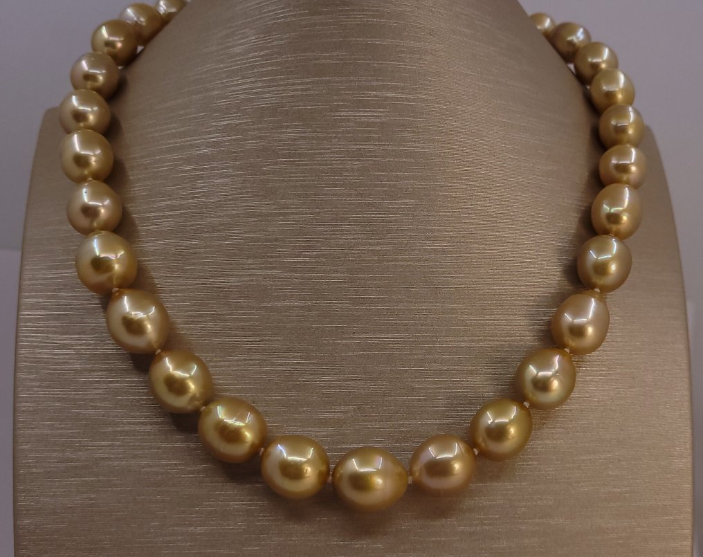 Collier - 14 carats Or jaune, Perles de mer du Sud d'un or profond certifiées PSL - 10,1x12,6 mm #1.0