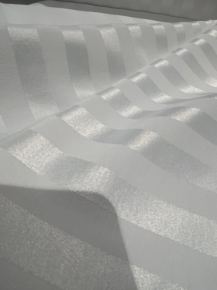 Casal raso rigato pesante 600 x 280 - Ύφασμα ταπετσαρίας - 600 cm - 280 cm #2.1