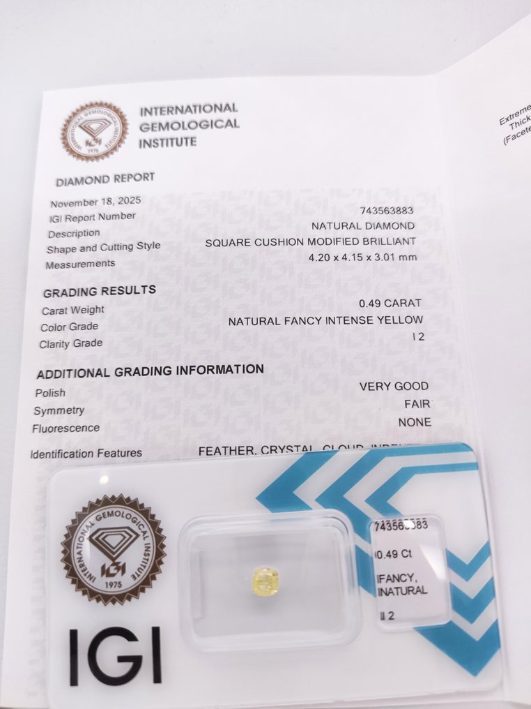 没有保留价 - 1 pcs 钻石  (天然色彩的)  - 0.49 ct - 枕形 - Fancy intense 黄色 - I2 内含二级 - 国际宝石研究院（IGI） #3.2