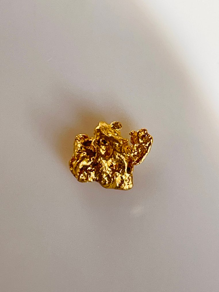 Or Pépites- 0.54 g - (1) #2.1