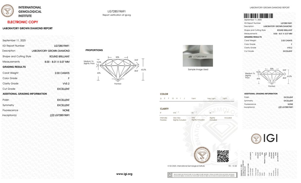 没有保留价 - 耳环 - 14K包金 白金 - 4.07ct. tw. 钻石 (实验室培育) - 圆形 F-VVS2 #4.3