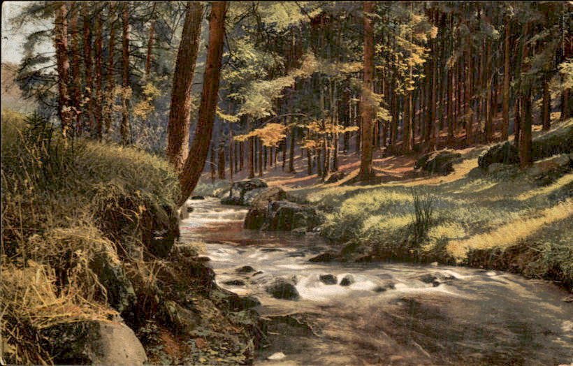 自然, 幻想, 景观 - 明信片 (122) - 1900-1950 #2.1