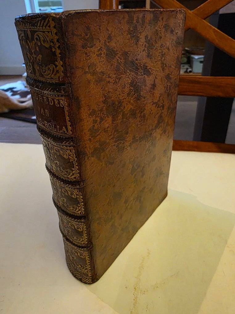 H.v.R. (Hugo Franciscus van Heussen) - Oudheden en gestichten van het rechte Zuid-Holland en van Schieland - 1719 #1.0