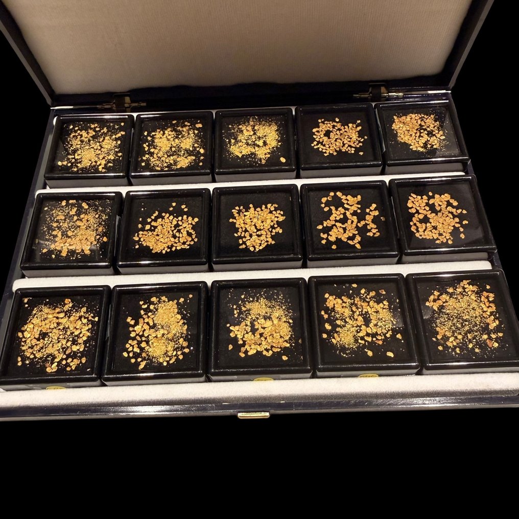 意大利北部本土金块的独特古董收藏——15个展示柜- 11.04 g #1.0