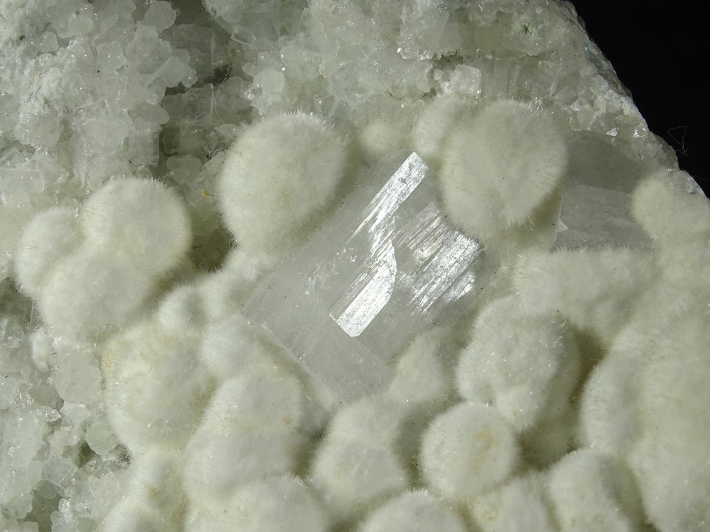 Okenite με Apophyllite Κρύσταλλοι σε μια βασαλτική μήτρα. - Ύψος: 10 cm - Πλάτος: 9 cm- 565 g #2.1