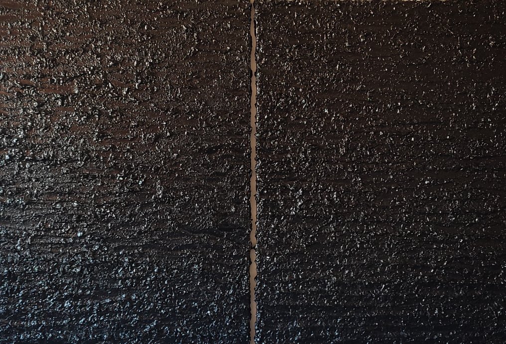 Bravo Navarro - VUELTA AL NEGRO I y II #1.0