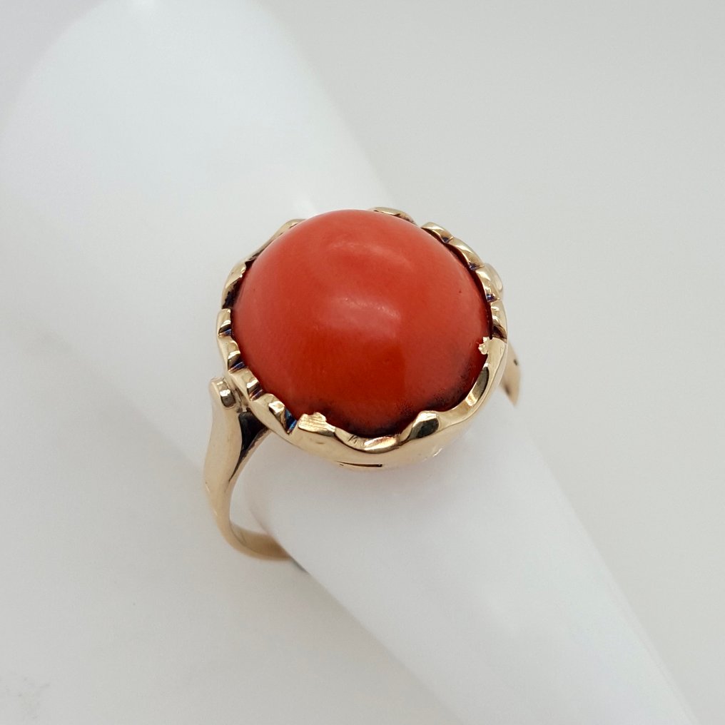Δαχτυλίδι - 14 καράτια Κίτρινο χρυσό Κοράλλι αίματος #3.2