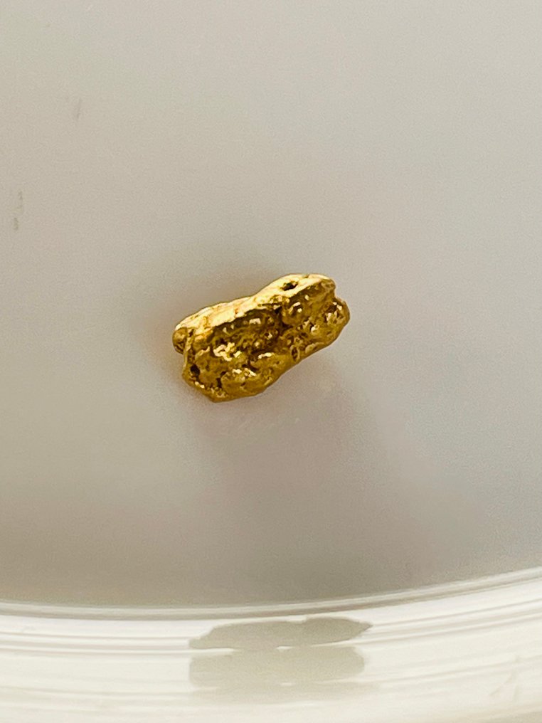 Gold Nuggets- 0.57 g - (1) #4.3