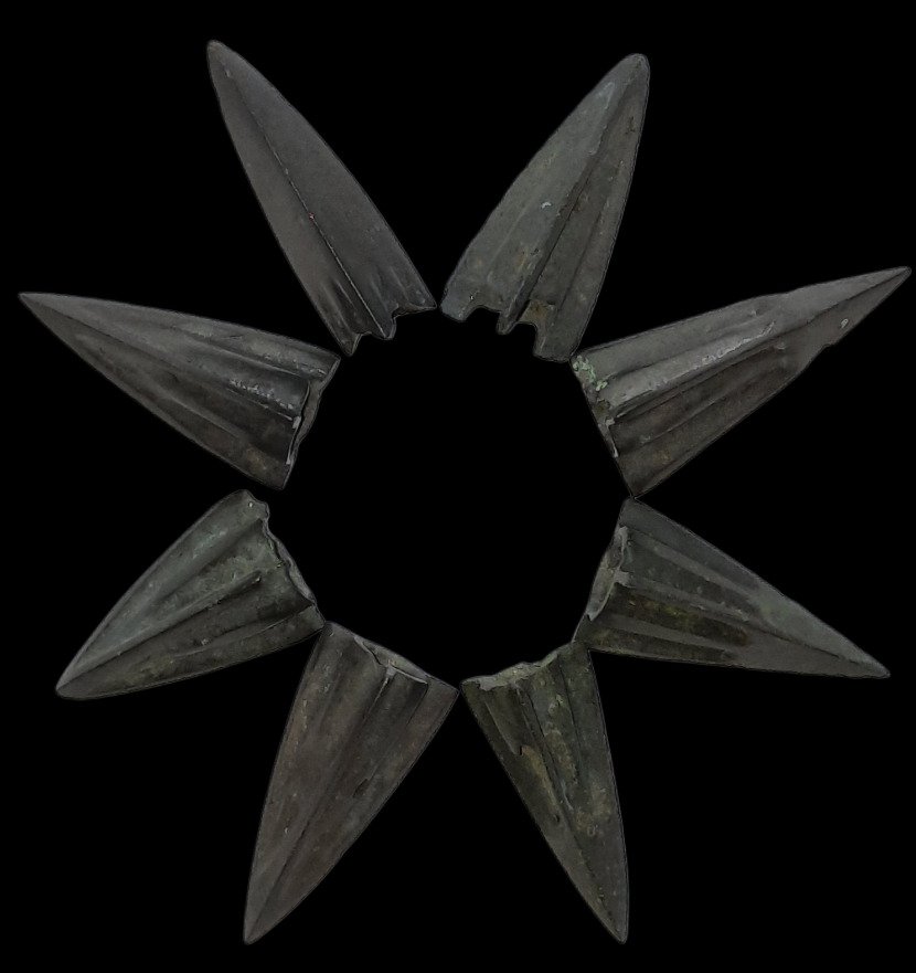 Scita Collezione di punte di freccia in bronzo - 8 pezzi. Ottimo stato. (Senza prezzo di riserva) #1.0