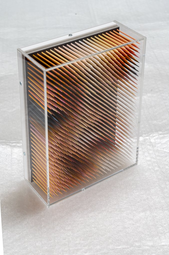 Maxim Wakultschik (1973) - Sculpture, to see if she detects any changes - 3D Object - 26 cm - Lackfarbe auf Holz auf Kapa-Platte hinter Plexiglashaube - 2025 #3.2