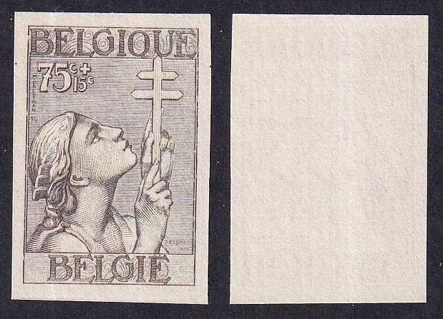 Belgien 1932 - Sjælden fuld serie af tuberkulosebekæmpelse 'Kruis van Lotharingen' - sjælden - oplag 200 stk - OBP 377/83 #3.2
