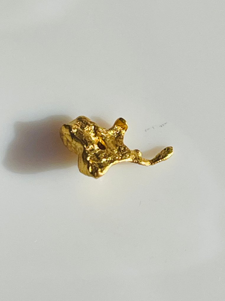 Gold Nuggets- 0.49 g - (1) #4.3
